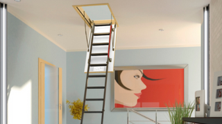 Step Up with Style: Discover Fakro's Exquisite Loft Ladders at Cambridge Skylights!